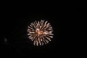 IMG_4990-scaled