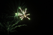 IMG_5172-scaled