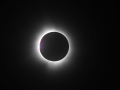 DSCN4021