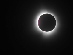 DSCN4022