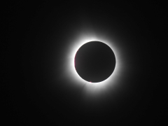 DSCN4023