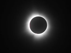 DSCN4024