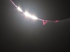 DSCN4031