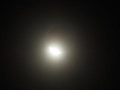 DSCN4033
