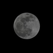 IMG_6939