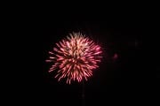 IMG_2391