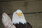 img_5911