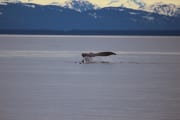 img_6096
