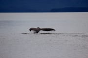 img_6202
