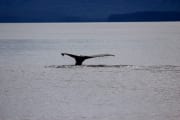 img_6203