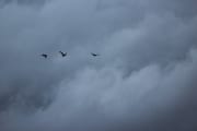 img_6338