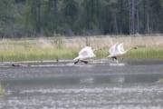 img_6836