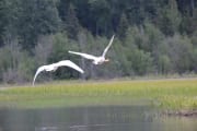 img_6843