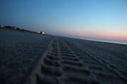 IMG_9080