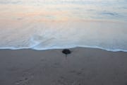 IMG_9124