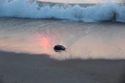 IMG_9155