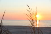 IMG_9225