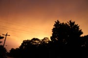 Golden Sunset