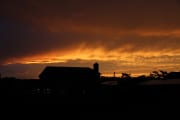 Golden Sunset