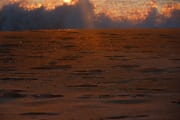 IMG_8829