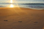 Sun on the surf