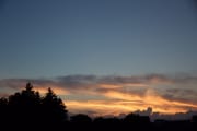 IMG_8610