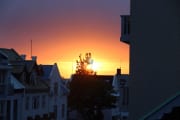 IMG_5504