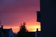 IMG_5510