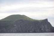 IMG_4873