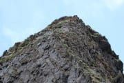 IMG_4972