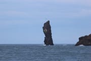 IMG_5082