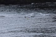 IMG_5183