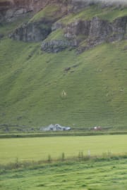 IMG_7397