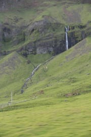 IMG_7417