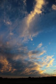 IMG_0472