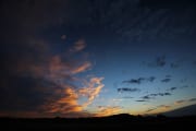 IMG_0484