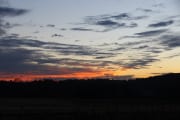 IMG_0531