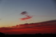 IMG_0580