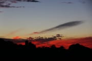 IMG_0589