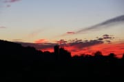 IMG_0593